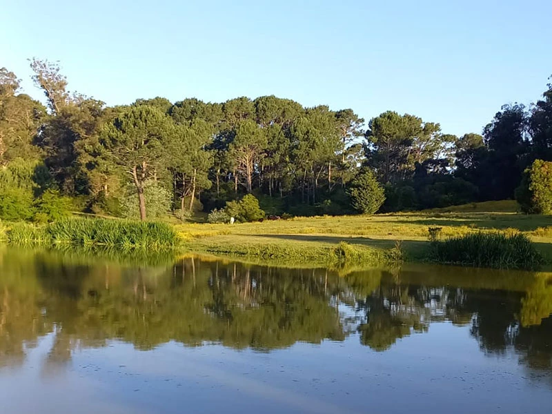 Foto de Aura Brava Golf